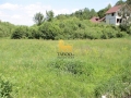 Poze Terenuri pentru constructii Arpasu de Sus anunt vanzare terenuri_constructii arpasu de sus arpasu_de_sus