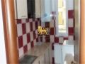 Poze Apartamente Sibiu anunt inchiriere apartamente sibiu turnisor 1 camere