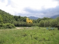 Poze Terenuri agricole Arpasu de Sus anunt vanzare terenuri_agricole arpasu de sus arpasu_de_sus